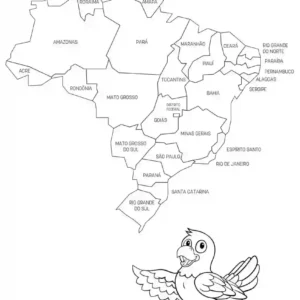 Mapa do Brasil.15