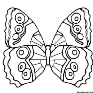 Butterfly.8