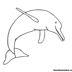 Brazilian Folklore.7