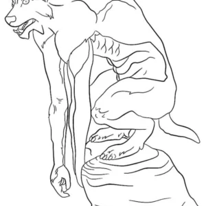 Brazilian Folklore.4