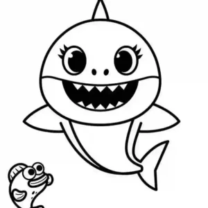 Baby Shark.6